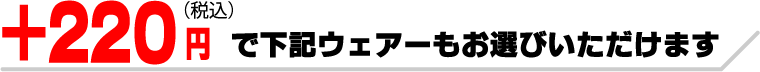 +220円でお作りいただけるプランです