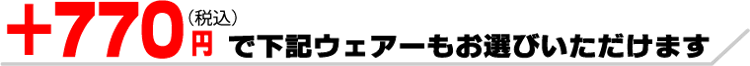 +770円でお作りいただけるプランです